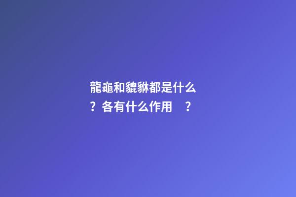 龍龜和貔貅都是什么？各有什么作用？